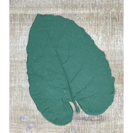 Small Burdock Rubber Leaf Form Small Burdock Rubber Leaf Form